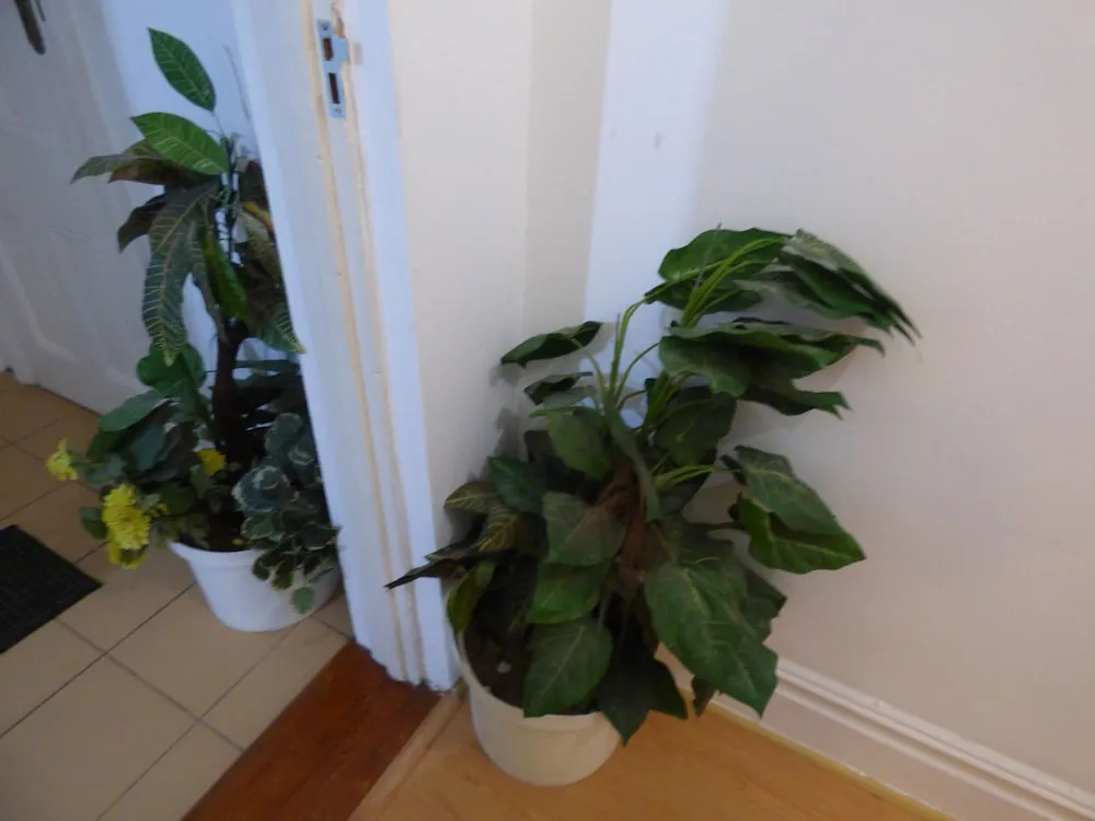 Hotels Image